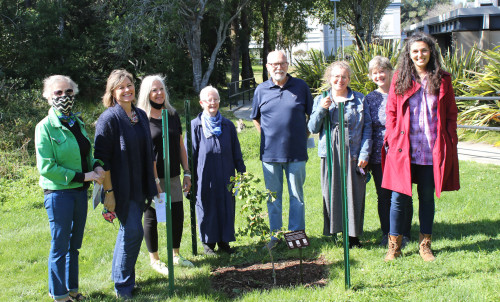 Group of people standing behind the Ginkgo sapling